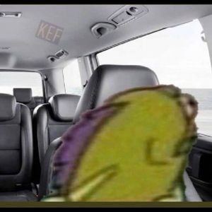 Meet your Posher, Diane